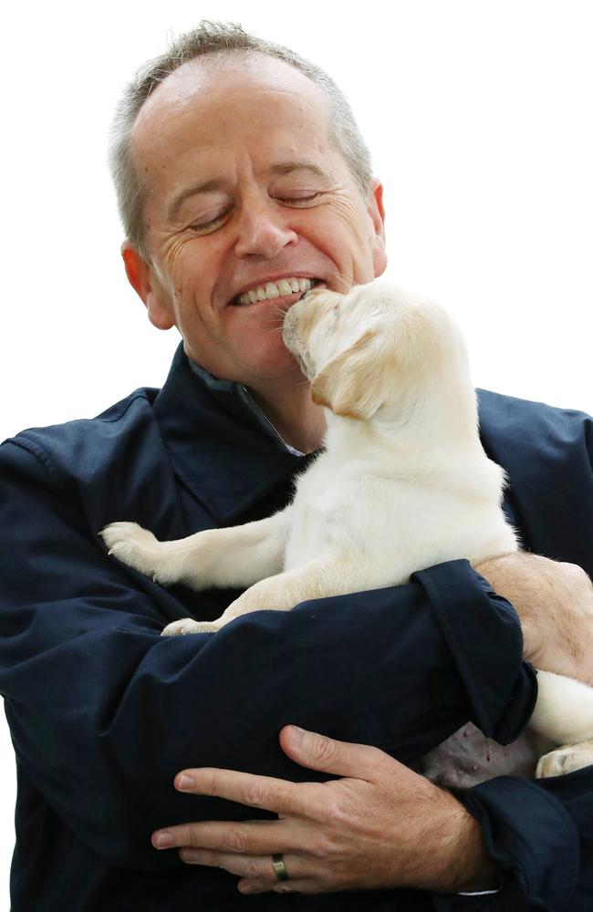 Bill Shorten holding a guide dog puppy named Bill while visiting Guide Dogs Victoria in Kew. Picture: Liam Kidston 