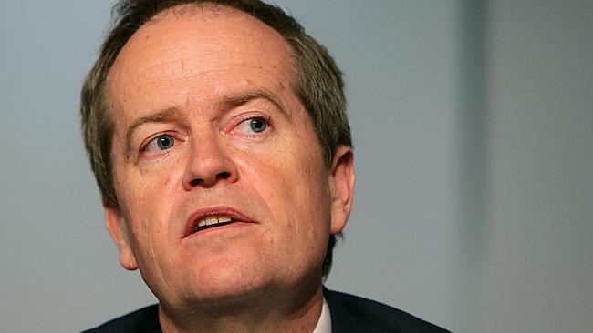 Federal Opposition Leader Bill Shorten / Picture: Darren England.