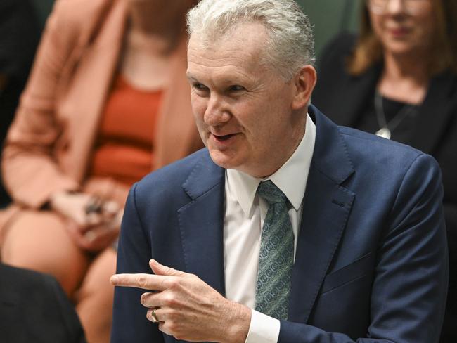 CANBERRA, AUSTRALIA, NewsWire Photos. SEPTEMBER 7, 2023: Leader of the House, Employment and Workplace Relations and Arts Tony Burke during Question Time at Parliament House in Canberra. Picture: NCA NewsWire / Martin Ollman