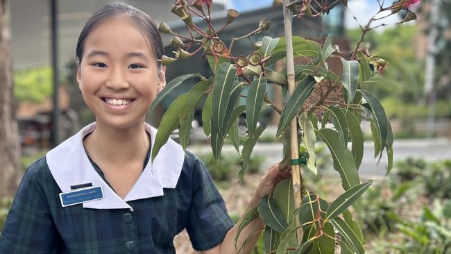 Sustainability Leader Sophie Ahn.