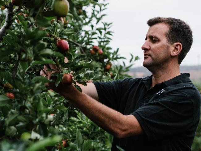 Plenty Cider owner Adam D'Arcy. For TasWeekend. Picture: Supplied