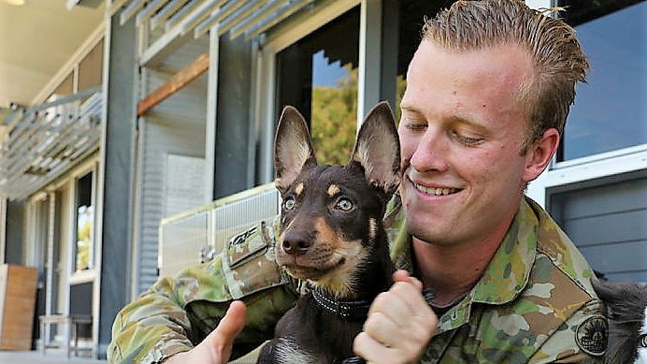 Australian Army 3 Combat Engineer Regiment enlists new explosive ...