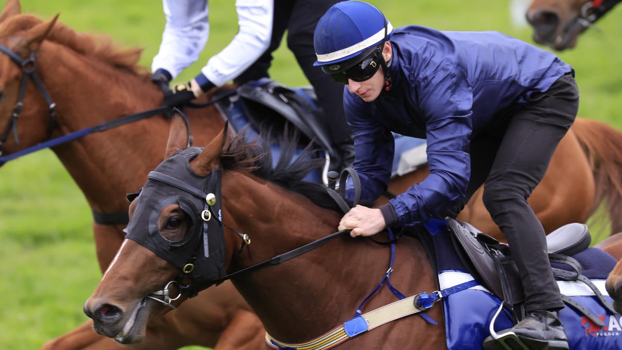 Smart colt Best Of Bordeaux is ready to find his best form in the Heritage Stakes. Picture: Getty Images