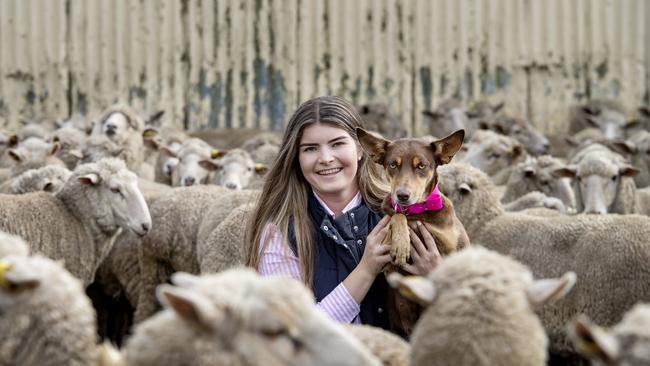 Anna Tozer is learning to class wool under her dad’s tutelage. Picture: Zoe Phillips