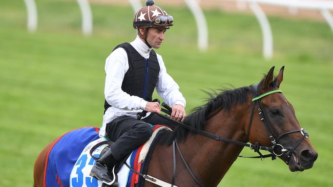 Magic Circle heads into the Cup with good form. Picture: Picture: AAP