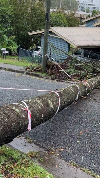 Cyclone Alfred damage aftermath on the Gold Coast