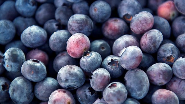 Blueberry growers in northern NSW have been blessed with an ideal growing season, but retail prices have had to plummet to move the oversupply.