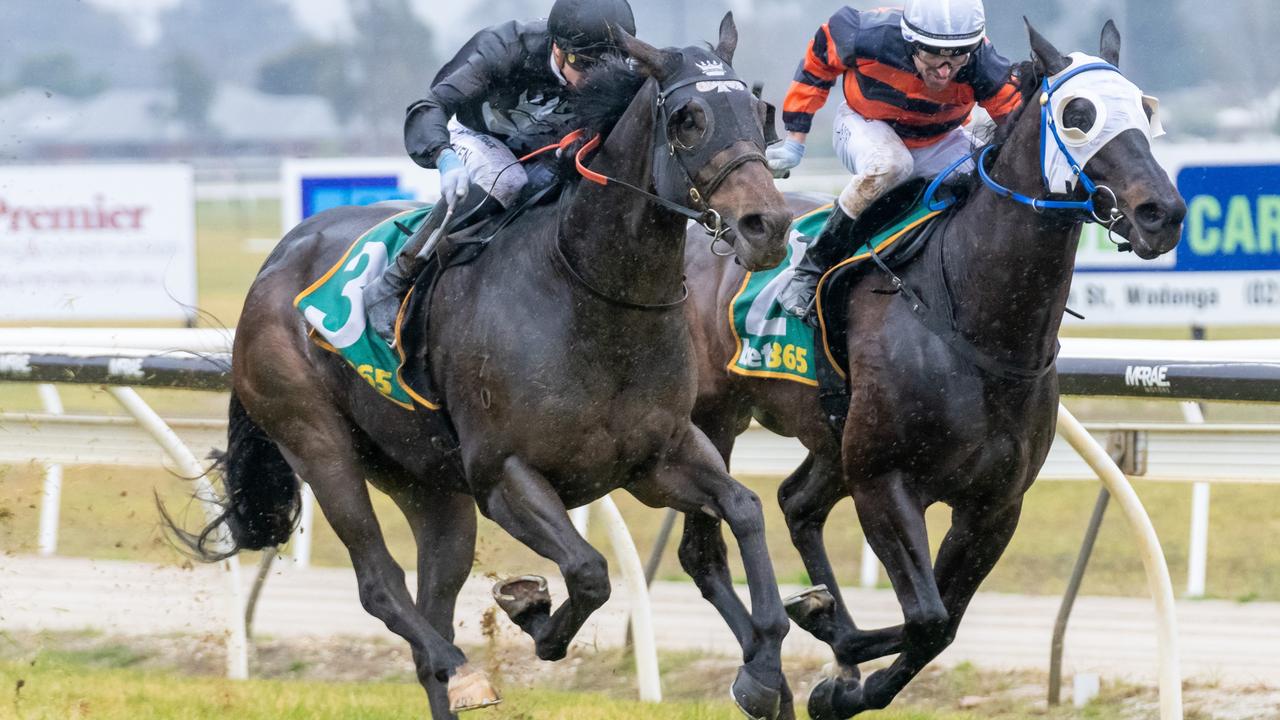 Ballarat Synthetic tips Tuesday: Capper to fly high again