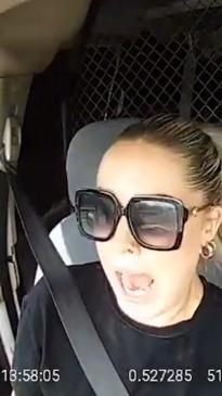 Woman has huge freakout in her car