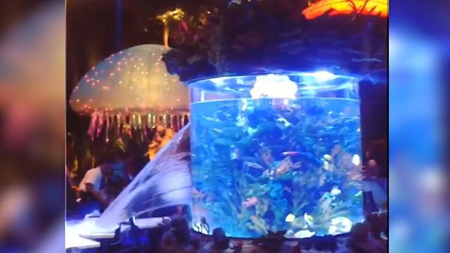 Disney World guests flee as aquarium bursts