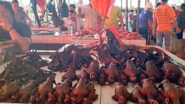 Tomohon exotic wildlife market still operating in sulawesi, Indonesia. Picture: Agung Maupa