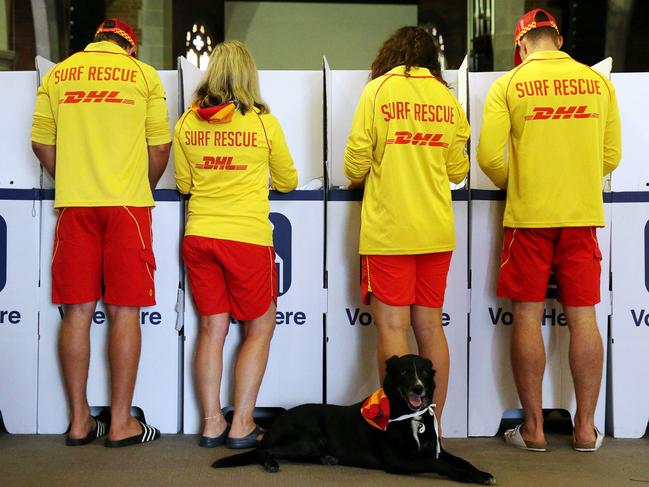 Lifeguards Jakob Hammond, Donna Wishart, Sally Macintosh and Paul Hardy — with dog Flash — pre poll voting at Manly for the state election tomorrow. Picture: Tim Hunter