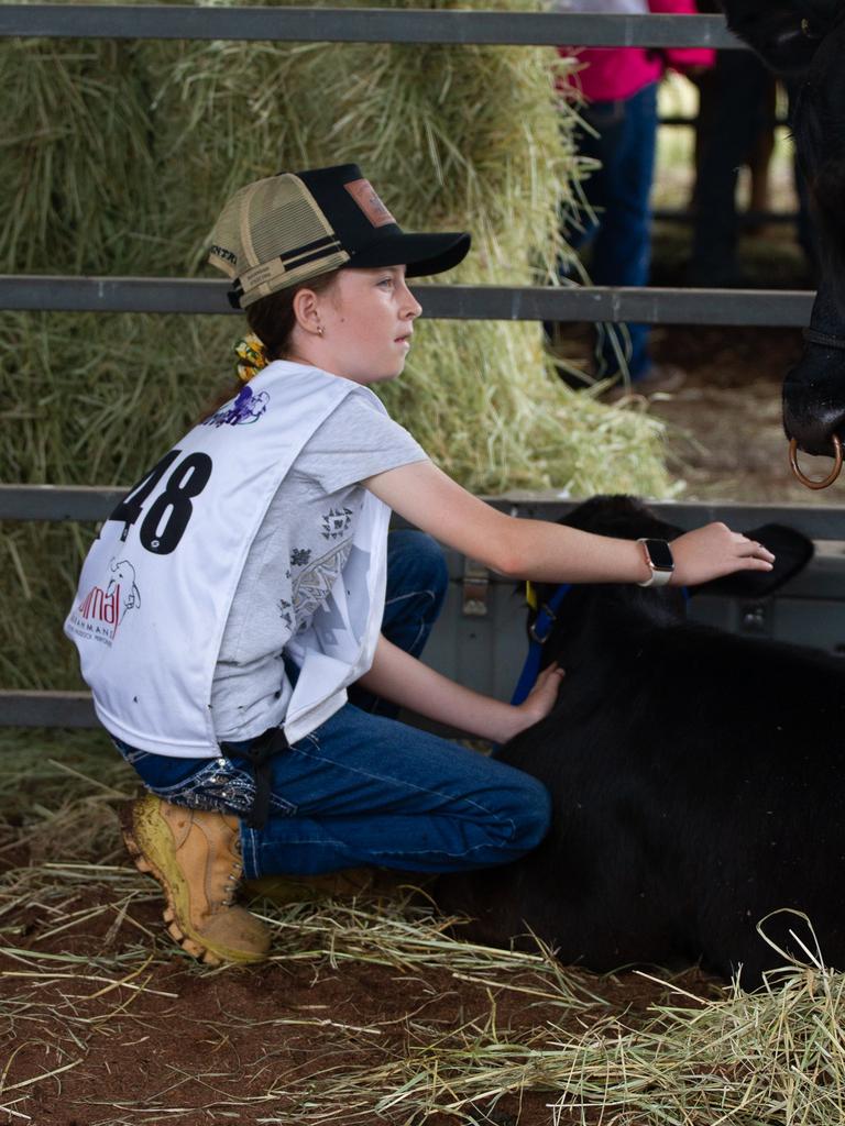 Erica Lewis checks on her cow between lessons.