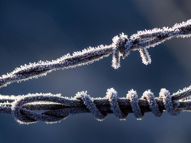 NEWS: Frost. Frosty morning in LancefieldPICTURED: Frost. Frosty morning in LancefieldPicture: Zoe Phillips