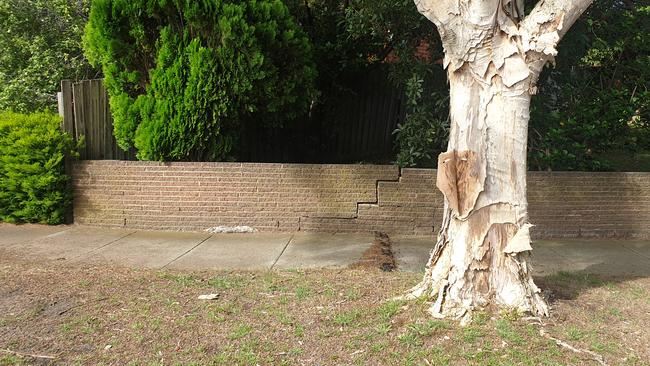 East Bentleigh man Dan, who did not want to supply his surname, said he anticipates forking out up to $10,000 to fix his front fence.