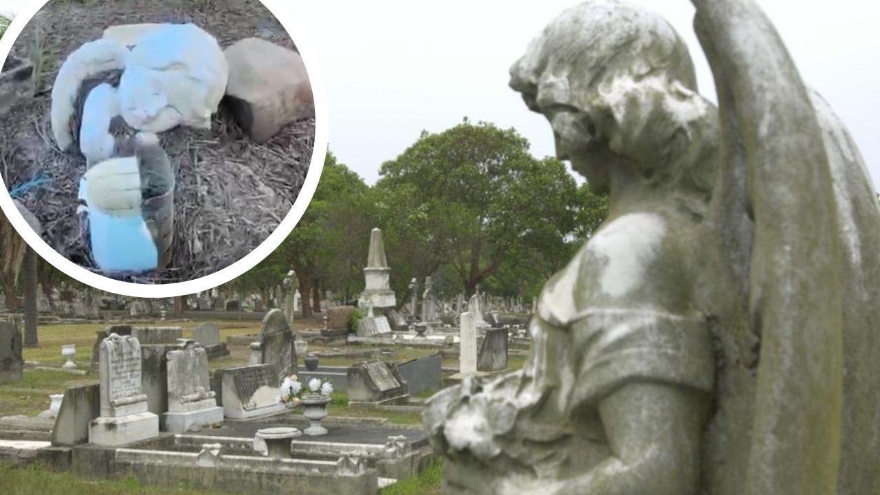 Inside the final resting place of Sydney’s lost souls