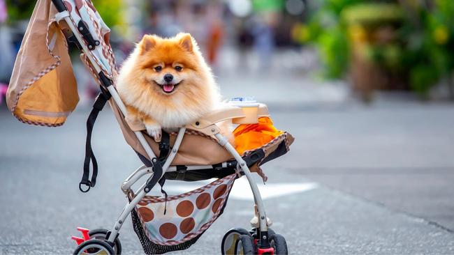 "I just a babbyy!" Image: iStock