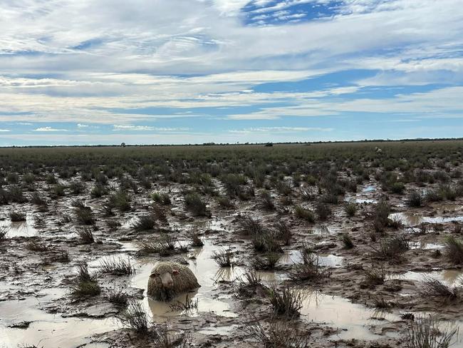 Quilpie farm flood