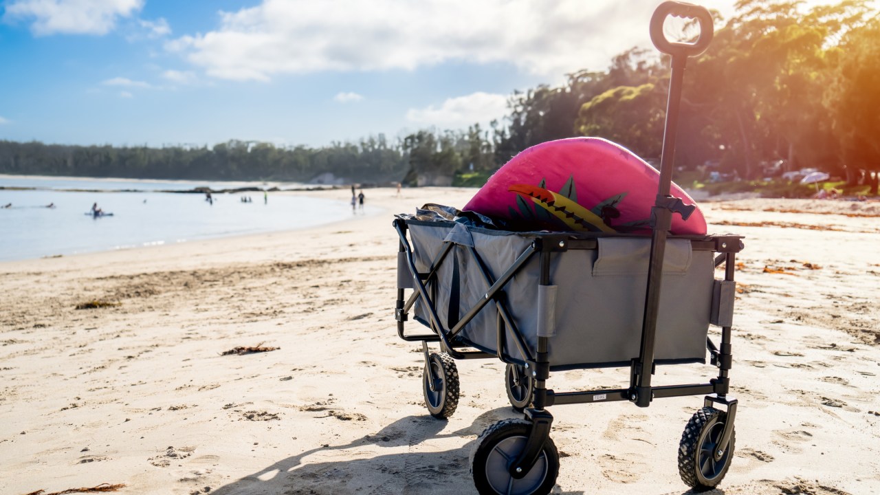 Best baby cheap wagon for beach