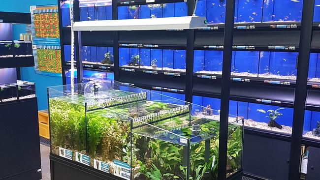 Pets Domain opened this month and has a dedicated fish room.