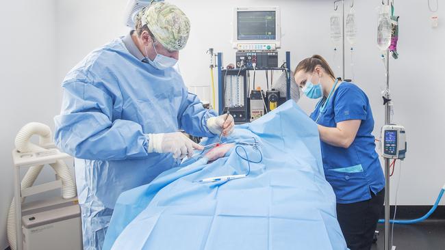 Clinic staff treat a patient. Picture: Rob Leeson.