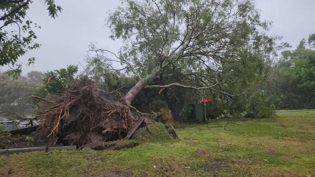 A trail of destruction across Brisbane after ex-TC Alfred.