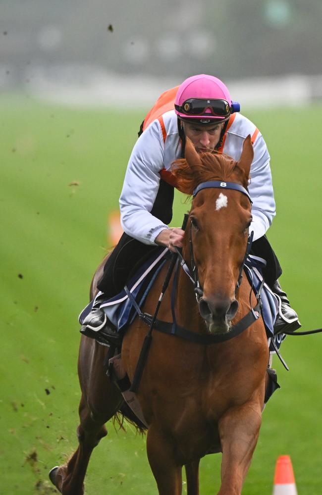 Blake Shinn will ride Vow and Declare in the Melbourne Cup. Picture: Vince Caligiuri