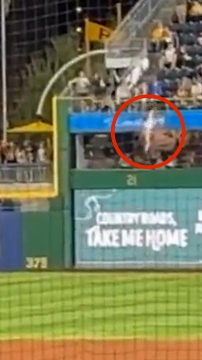 Baseball fan falls from the stands in horrifying incident