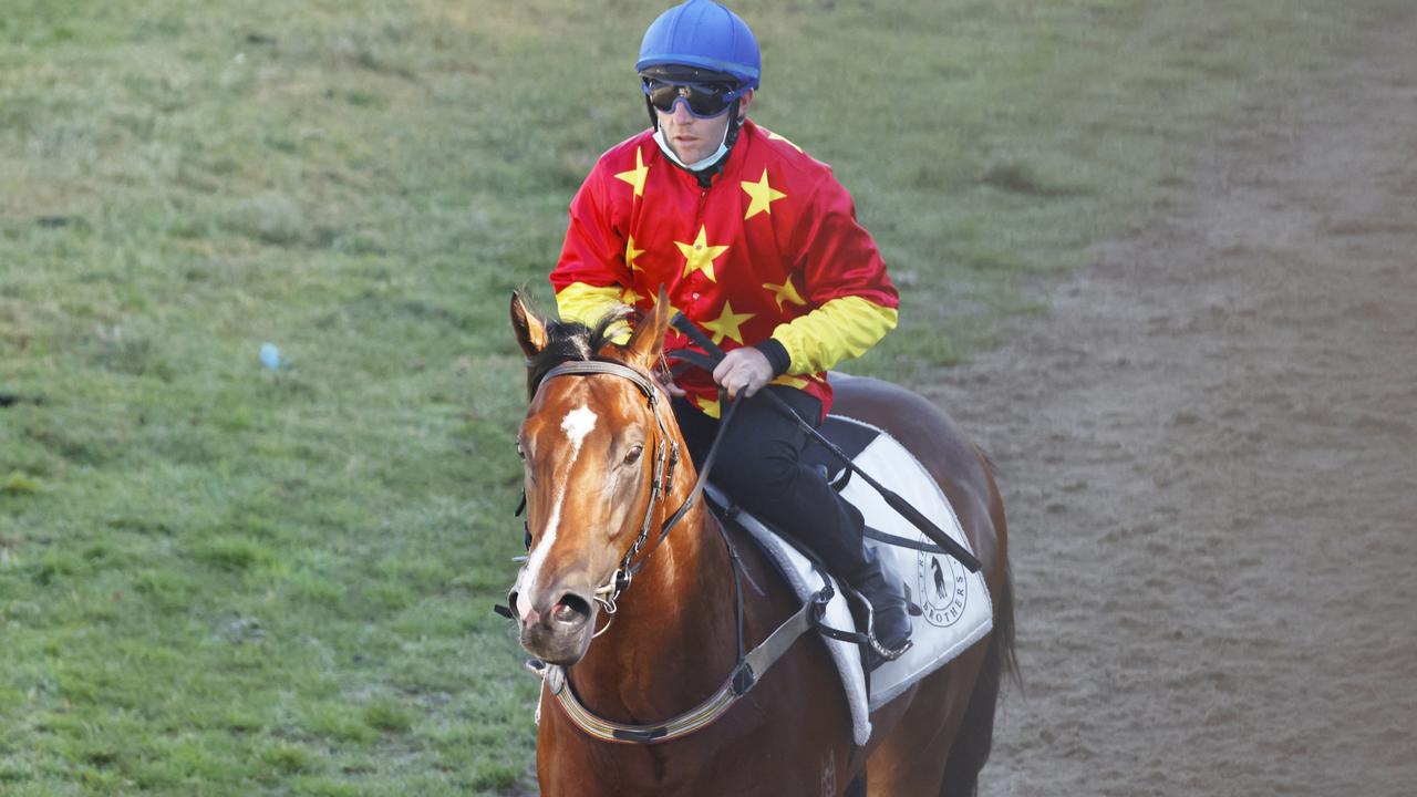 Tommy Berry and Stay Inside after contesting his Randwick barrier trial last Friday. Photo: Mark Evans–Getty Images