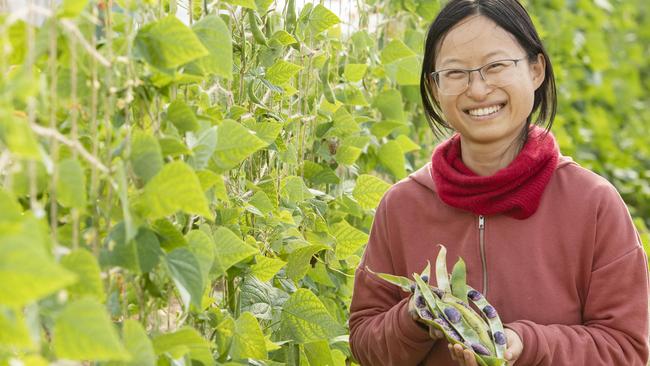 Future Farmers intern Siyao Zhang said learning how to farm was a salve for her climate anxiety, and a productive way to work towards bettering the future. Picture: Zoe Phillips