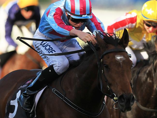 MELBOURNE, AUSTRALIA - JUNE 13: Michael Dee rides Hard Romp (C) to win race five the Rod Johnson Handicap during June Raceday at Flemington Racecourse on June 13, 2015 in Melbourne, Australia. (Photo by Graham Denholm/Getty Images)