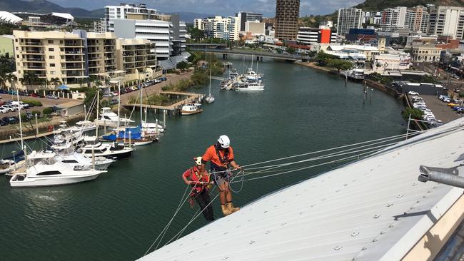 Abseilers have replaced the large panels on the Museum of Tropical Queensland's iconic curved exterior.