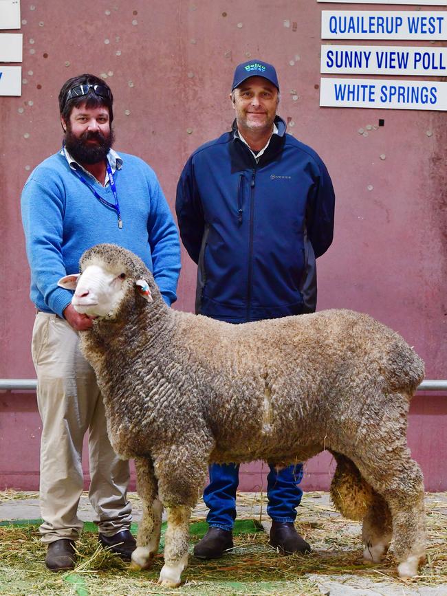 Buyer Joe Murdoch of North Cowie at Warooka in South Australia with vendor Phil Jones from Bruce Rock WA with and the Belka Valley Poll Merino ram, which was sold in a private deal after being exhibited at the Australian Sheep and Wool Show. Picture: Zoe Phillips