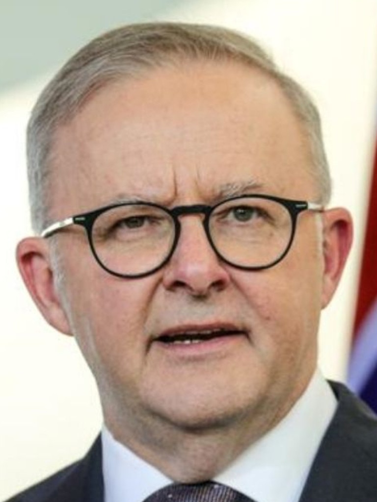 Anthony Albanese has vowed that Australia will stand by Ukraine “for as long as it takes”.