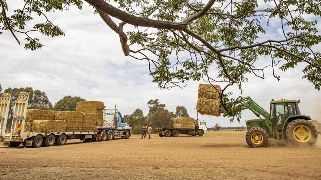 Transport twist: Victorian producers face tough competition to sell hay into Queensland due to the lower freight costs for NSW growers.