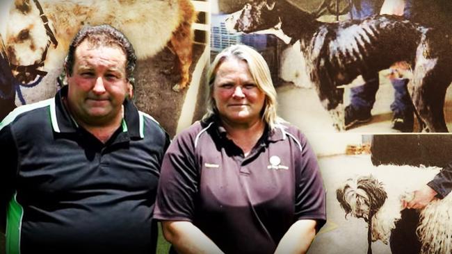 Carole Morris and Shane Jones were fined for animal cruelty charges in 2022. Photo: Courts SA