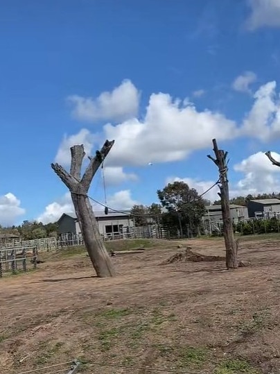 The family spent the day at Dubbo Zoo. Picture: TikTok