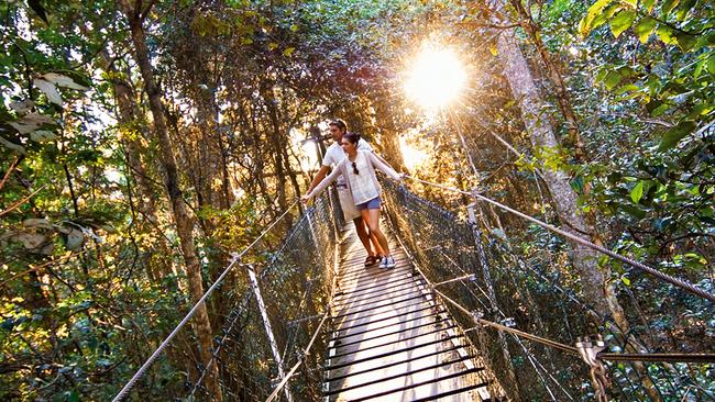 Open to the public, the free Tree Top Walk is an iconic part of O’Reilly’s Rainforest RetreatFor Best of the Gold Coast hikes/walks 2019 in Gold Coast Eye