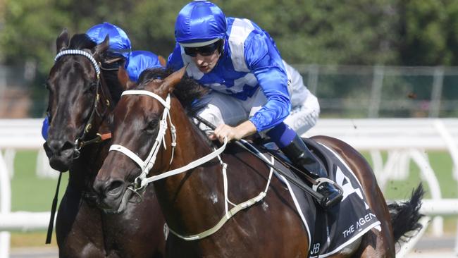 Winx will have her final race in the Queen Elizabeth Stakes on Saturday. Picture: Simon Bullard