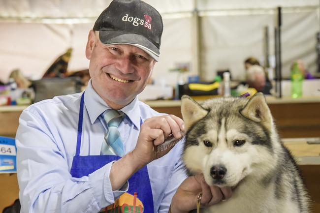 Ben Luxton Macdonald with his Siberian husky called Frost. Picture: Roy VanDerVegt