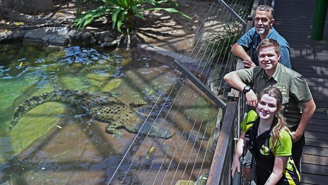 The Cairns Wildlife dome’s Jessie Dodds, Pablo Ochoa De Alda and Steve Armstrong with a very relaxed Goliath, Picture Emily Barker.