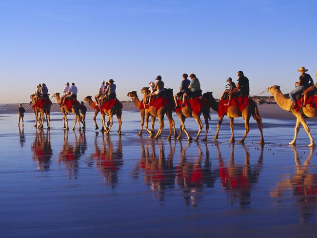 Camel rides and sunsets at Cable Beach.