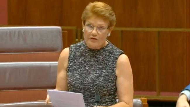 Pauline Hanson has labelled the Pay The Rent initiative as "offensive" and "outrageous". Picture: Twitter / @PaulineHansonOz