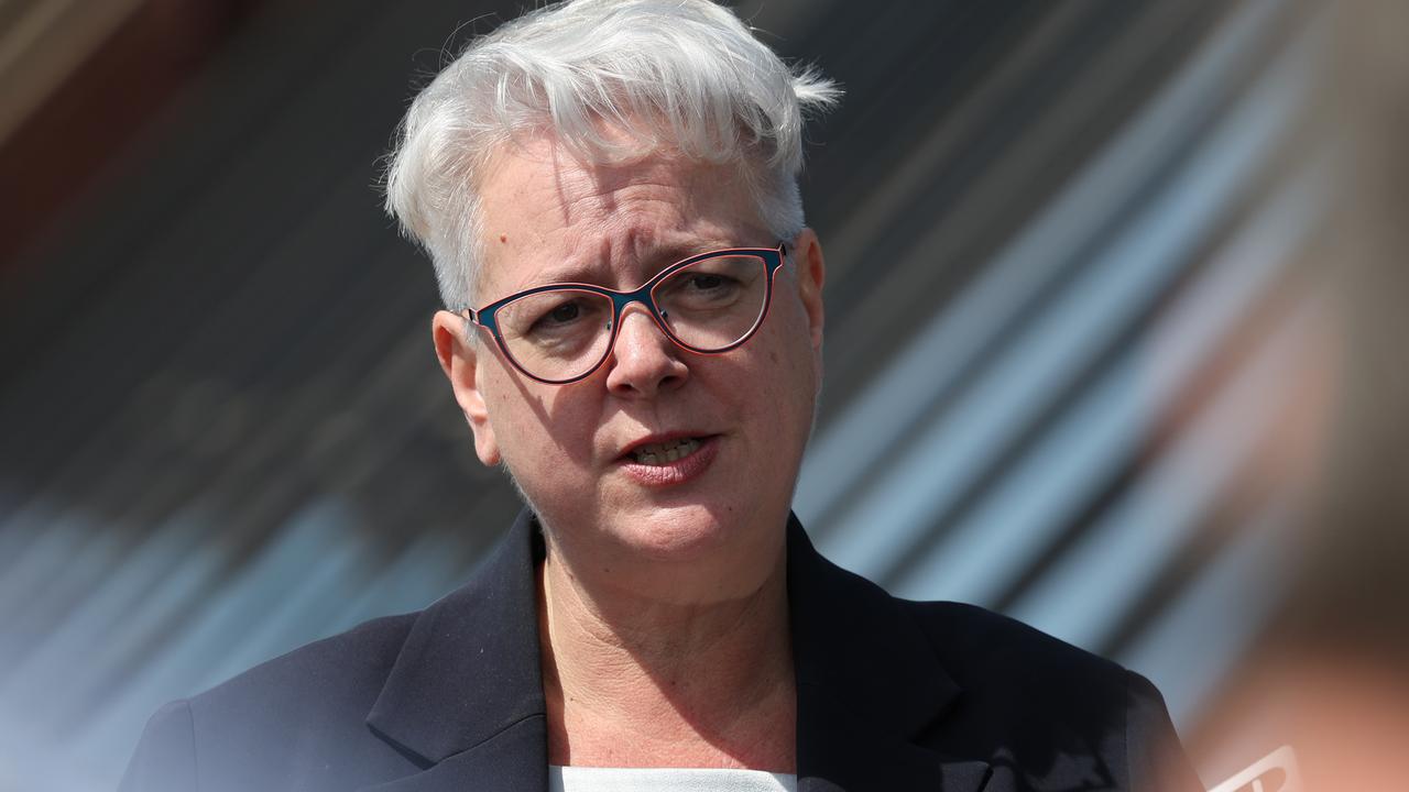 NSW Energy Minister Penny Sharpe said the new laws reflected the government’s commitment to tackling climate change. Picture: NCA NewsWire/ David Swift