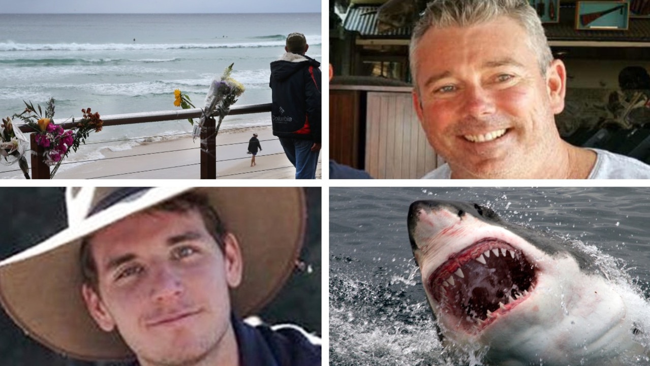 Shark attacks Qld, Australia highest in global study by University of