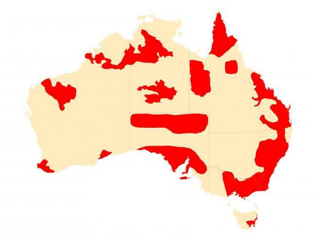 Areas highlighted in red face above normal bushire potential this summer.