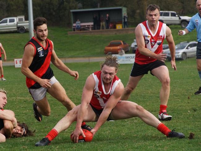 Ashraf Davies during his time at Healesville. Picture: Robyn Kuys