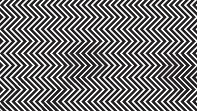 Find the panda: The science behind the optical illusion