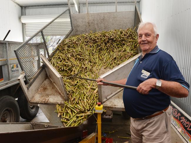 Robin Pitcher crushes the cane to make rum at the Sarina Sugar Shed in 2013. Photo Peter Holt / Daily Mercury