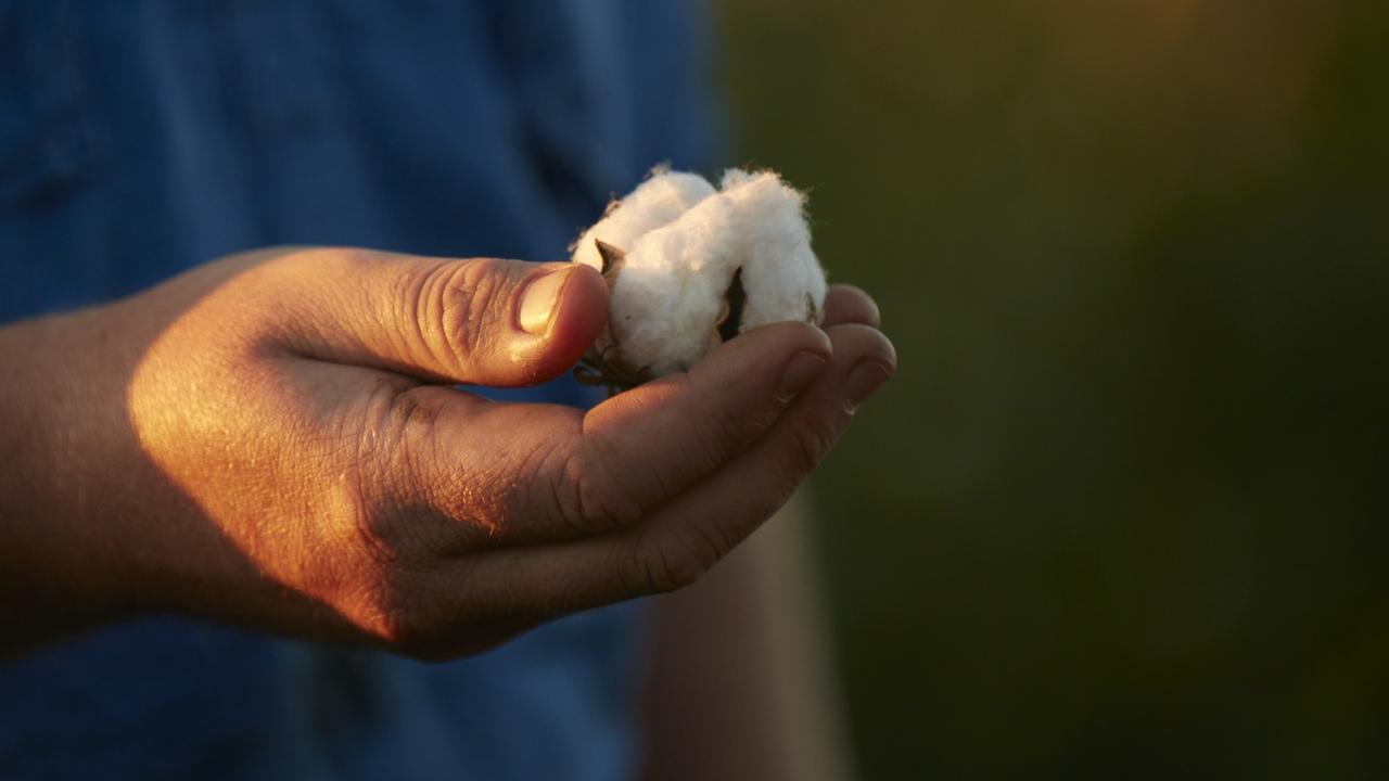 Northern NSW cotton farmer slapped with $25,000 fine